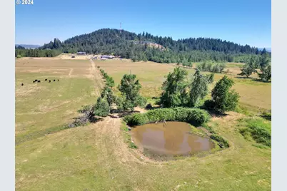 33320 Bryant Rd, Creswell, OR 97426 - Photo 46