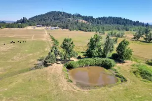 33320 Bryant Rd, Creswell, OR 97426 - Photo 46