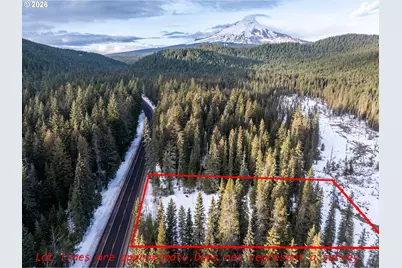 93732 E Highway 26 #101, Government Camp, OR 97028 - Photo 18