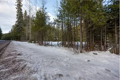 93732 E Highway 26 #101, Government Camp, OR 97028 - Photo 20
