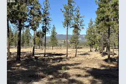 000 Lee Rd, Goldendale, WA 98620 - Photo 8