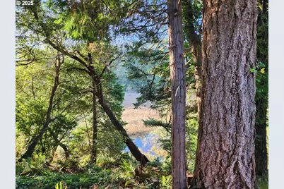 2605 Port Orford Loop Rd, Port Orford, OR 97465 - Photo 24