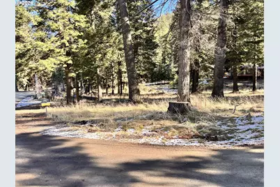 60037 Wallowa Lake Hwy, Joseph, OR 97846 - Photo 16