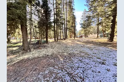 60037 Wallowa Lake Hwy, Joseph, OR 97846 - Photo 6