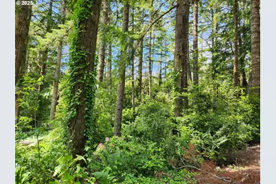 12829 Wildwood Dr, North Bend, OR 97459 - Photo 8