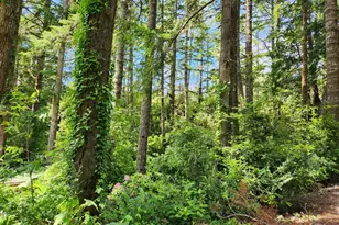 12829 Wildwood Dr, North Bend, OR 97459 - Photo 8