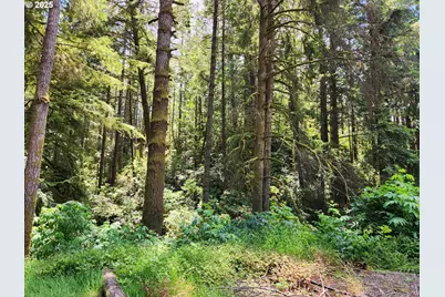 12829 Wildwood Dr, North Bend, OR 97459 - Photo 4