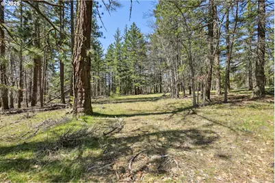 Nka Tyler Rd, Goldendale, WA 98620 - Photo 6