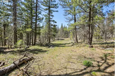 Nka Tyler Rd, Goldendale, WA 98620 - Photo 10