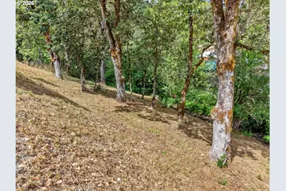 4458 Shoestring Rd, Riddle, OR 97469 - Photo 28