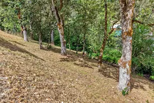 4458 Shoestring Rd, Riddle, OR 97469 - Photo 28