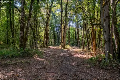 2 Pp2020-49 Lot 2, Albany, OR 97321 - Photo 36