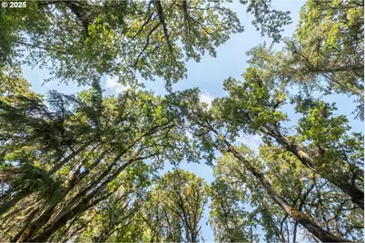 2 Pp2020-49 Lot 2, Albany, OR 97321 - Photo 20