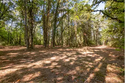 2 Pp2020-49 Lot 2, Albany, OR 97321 - Photo 34
