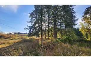 40235 Rainbow Dr, Scio, OR 97374 - Photo 48