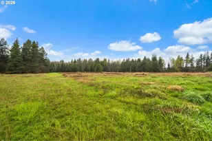 5058 Jackson Hwy, Toledo, WA 98591 - Photo 30