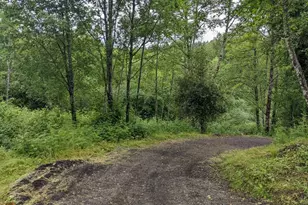 0 SE Washougal River Rd, Washougal, WA 98671 - Photo 1