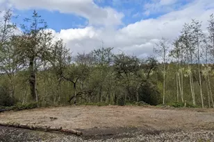 0 SE Washougal River Rd, Washougal, WA 98671 - Photo 1