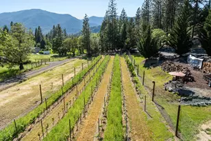 727 Earhart Rd, Rogue River, OR 97537 - Photo 40