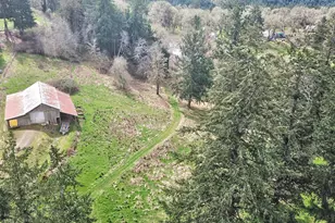 6110 SE Yampo Rd, Amity, OR 97101 - Photo 36