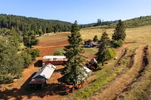 1066 Red Hill Rd, Oakland, OR 97462 - Photo 6