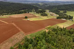 1066 Red Hill Rd, Oakland, OR 97462 - Photo 2