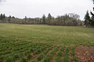 5440 NW Glencoe Rd, Hillsboro, OR 97124 - Photo 12