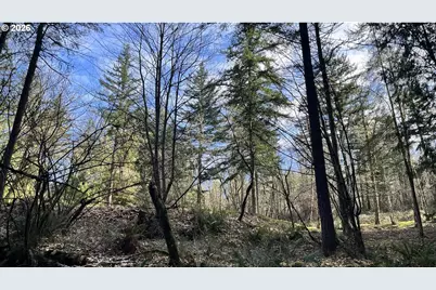 000 NE Schauer Dr, Battle Ground, WA 98604 - Photo 8