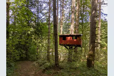 56614 NW Wilson River Hwy, Gales Creek, OR 97117 - Photo 40