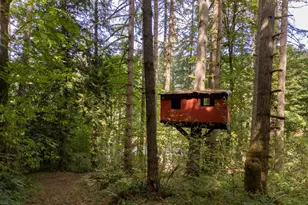 56614 NW Wilson River Hwy, Gales Creek, OR 97117 - Photo 40