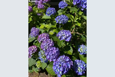 1301 NW 40th St, Vancouver, WA 98660 - Photo 32