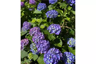 1301 NW 40th St, Vancouver, WA 98660 - Photo 32