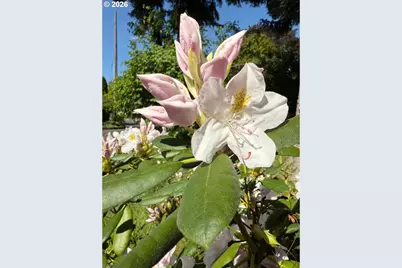 1301 NW 40th St, Vancouver, WA 98660 - Photo 34