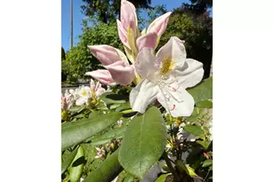 1301 NW 40th St, Vancouver, WA 98660 - Photo 34