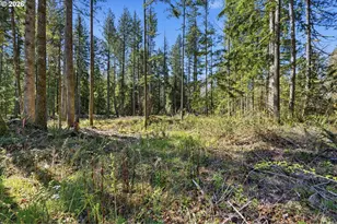 57214 E Marmot Rd, Sandy, OR 97055 - Photo 40