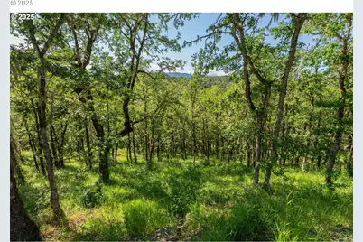 460 Huckleberry Mt Ln, Riddle, OR 97469 - Photo 26