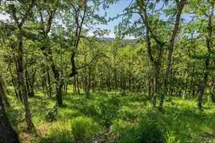 460 Huckleberry Mt Ln, Riddle, OR 97469 - Photo 26
