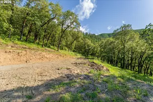 460 Huckleberry Mt Ln, Riddle, OR 97469 - Photo 24