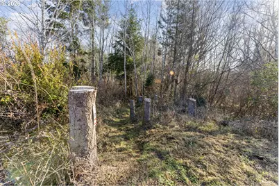 Fiddleback, North Bend, OR 97459 - Photo 10