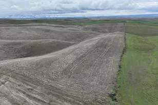 Harvey Shaw Rd, Walla Walla, WA 99362 - Photo 1