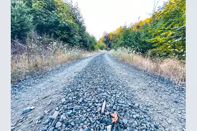 Honeygrove Rd #TL200, Alsea, OR 97324 - Photo 46