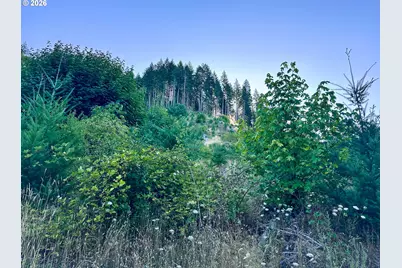Honeygrove Rd #TL200, Alsea, OR 97324 - Photo 26