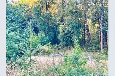 Honeygrove Rd #TL200, Alsea, OR 97324 - Photo 6