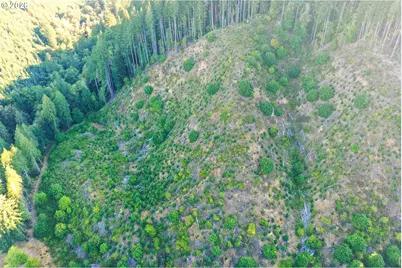 Honeygrove Rd #TL200, Alsea, OR 97324 - Photo 22