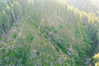 Honeygrove Rd #TL200, Alsea, OR 97324 - Photo 20