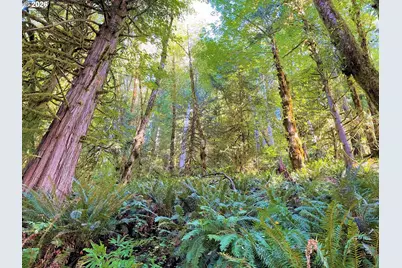 Honeygrove Rd #TL200, Alsea, OR 97324 - Photo 36