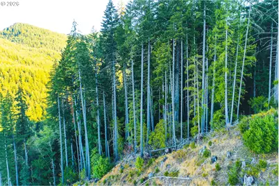 Honeygrove Rd #TL200, Alsea, OR 97324 - Photo 32