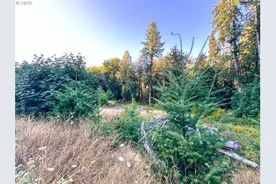 Honeygrove Rd #TL200, Alsea, OR 97324 - Photo 4