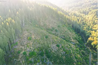 Honeygrove Rd #TL200, Alsea, OR 97324 - Photo 24