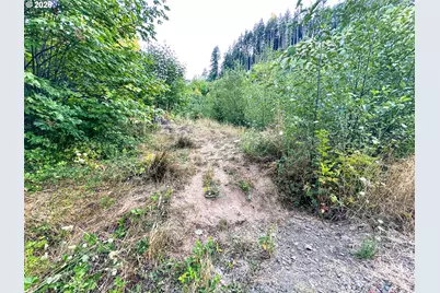 Honeygrove Rd #TL200, Alsea, OR 97324 - Photo 44